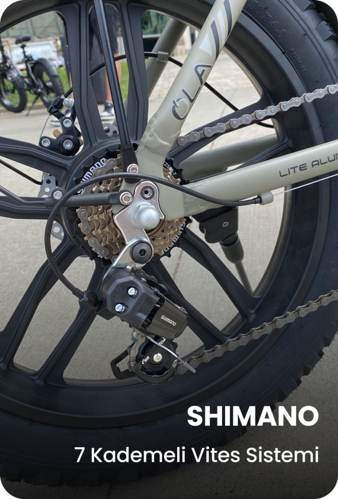 shimano-vites-sistemi
