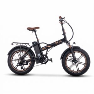 OLA Electrofold EFB10 Noir Katlanabilir Elektrikli Bisiklet 20''